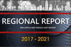BWI Regional Video Report 2021
